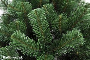 borovice klasik vianoèné stromèeky