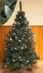 Vianoèné stromèeky Borovice Kanadské