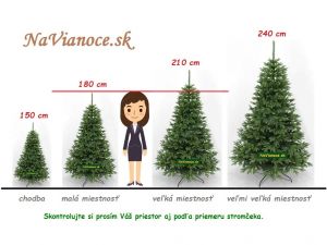 smrekov prrodn vianon stromek 3d